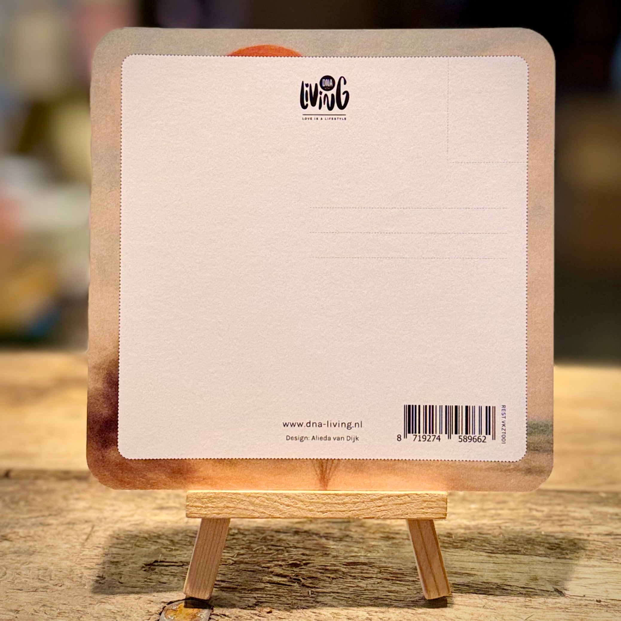 Congratulations | Blank | Square Card