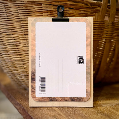 Romeinen 8:37 | Meer Dan Overwinnaars | A6 kaart