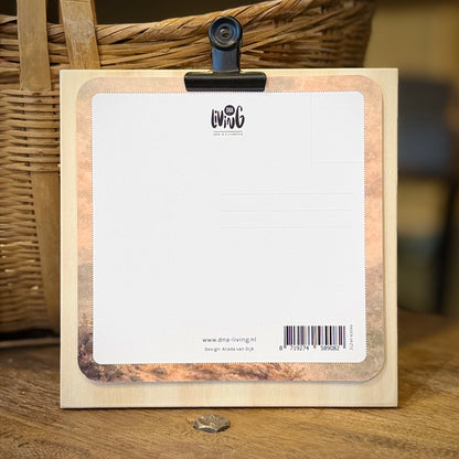 Romeinen 8:37 | Blanco | Vierkante Kaart